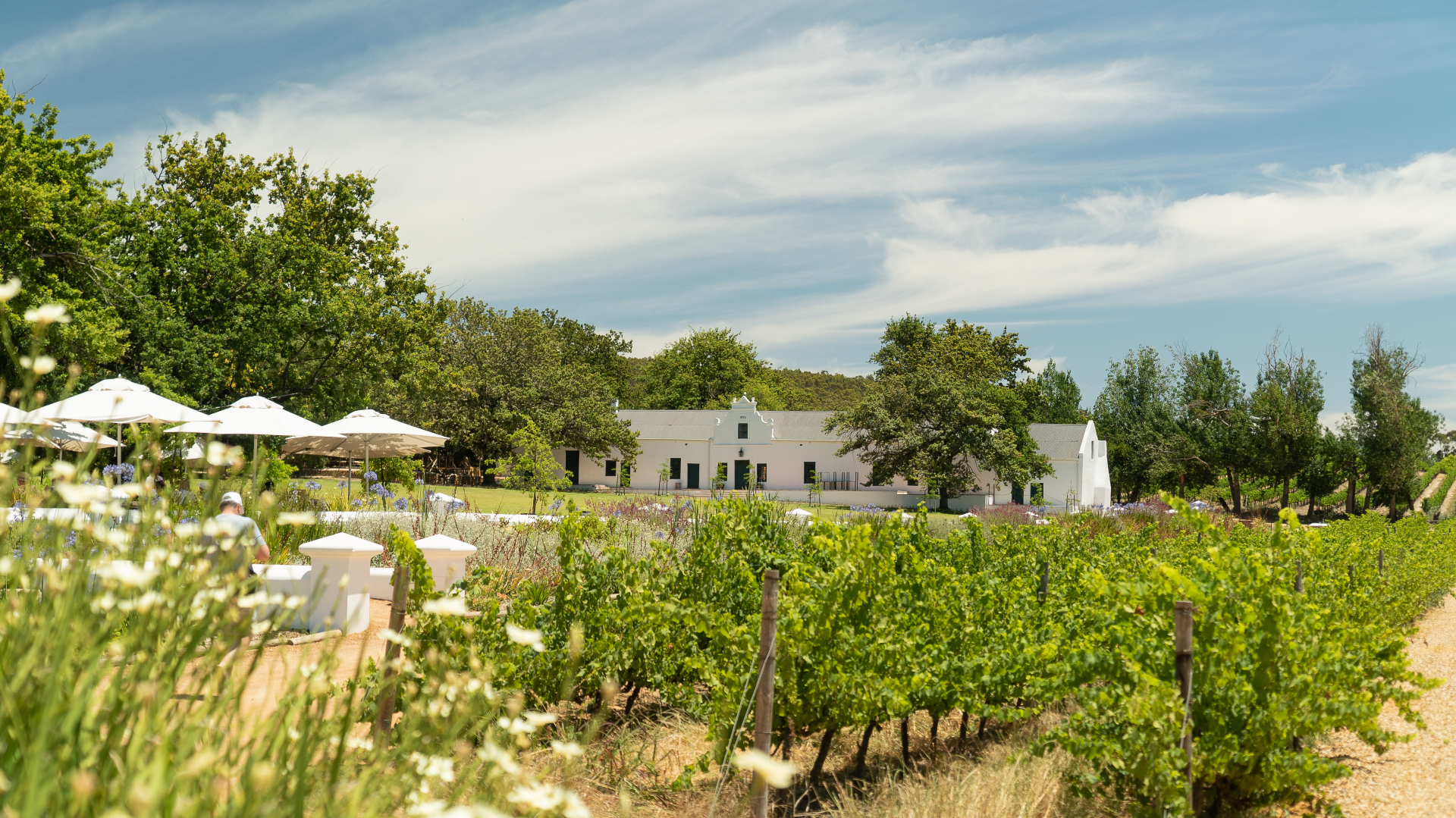 Estate restaurant dining with vineyard views