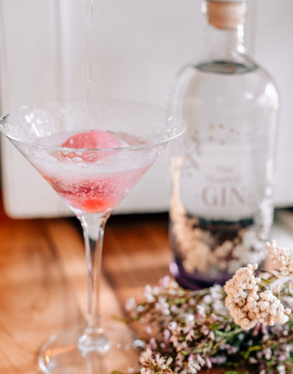 Tempest gin sorbet cocktail served in a martini glass