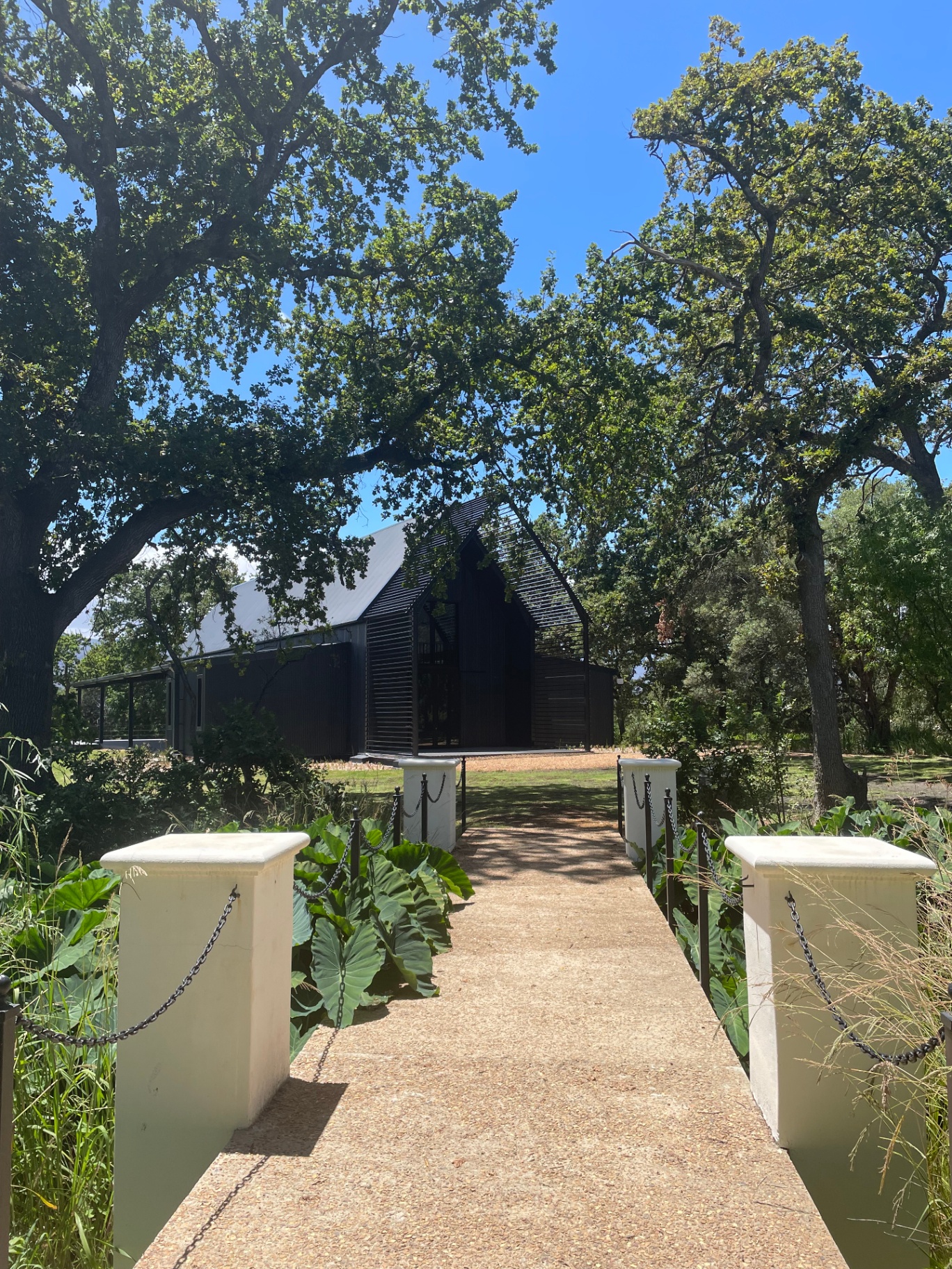 Approach to the venue across a bridge beneath mature oak trees