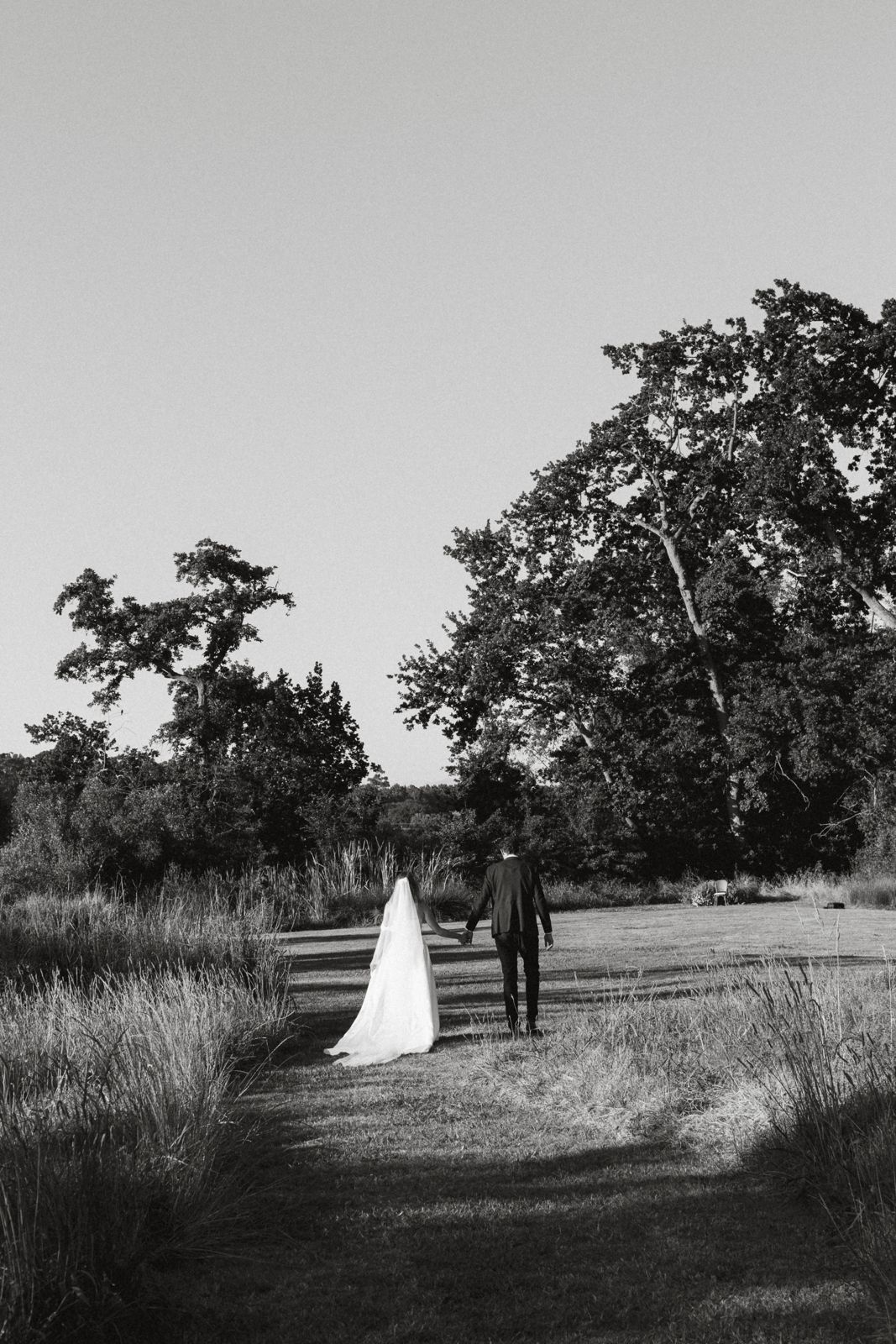 Bride and groom walking hand in hand through tall grass