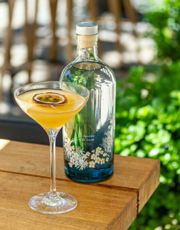 Tempest Winter gin passionfruit martini