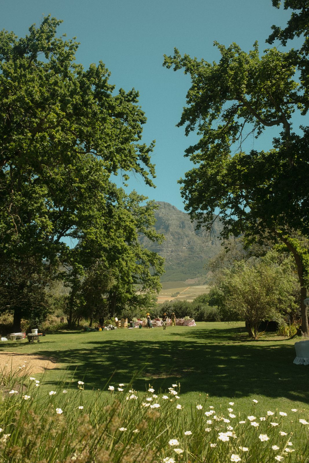 Garden event setup framed by large trees with mountain views