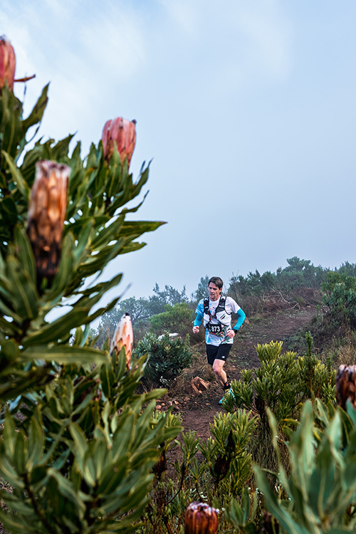 Trail runners on the Simonsberg during RMB Run4Rivers at Plaisir